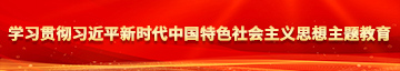 草逼片网站学习贯彻习近平新时代中国特色社会主义思想主题教育